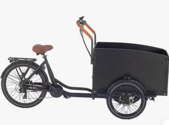 Starter Cargobike 250 watt