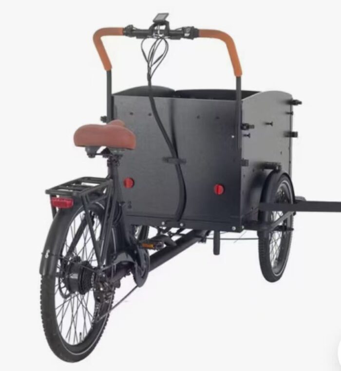 Starter Cargobike 250 watt - Image 6