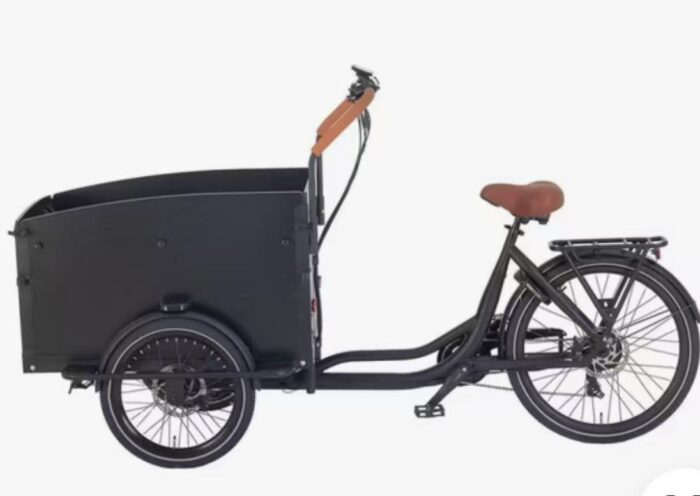 Starter Cargobike 250 watt - Image 7