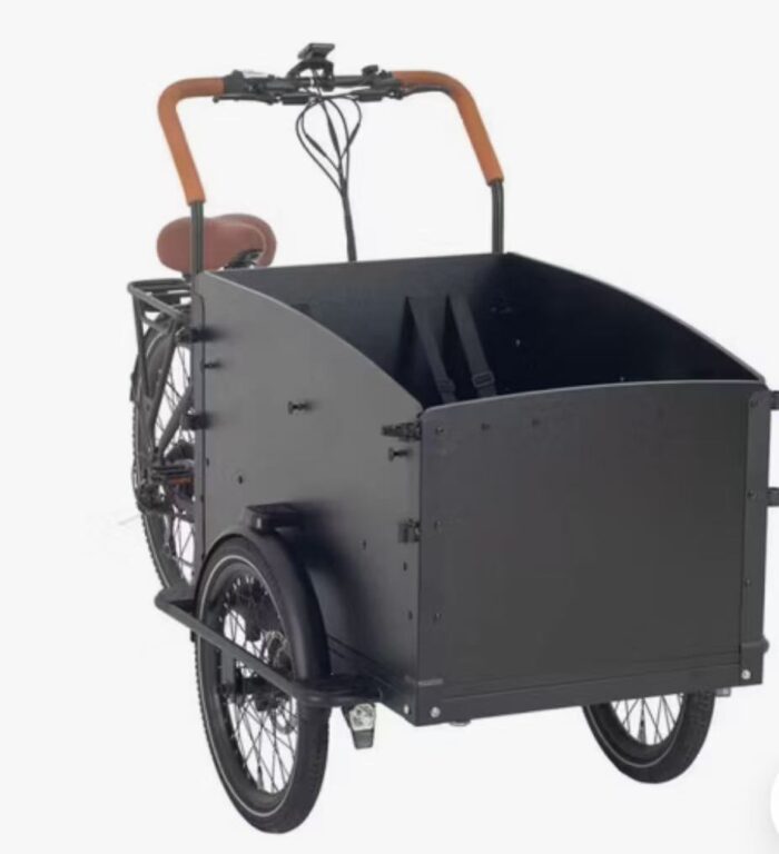 Starter Cargobike 250 watt - Image 8